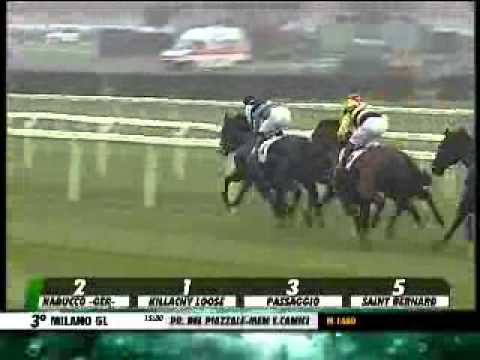 20/10/2013, Milano , Premio Del Piazzale-mem E.camici