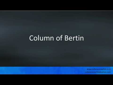 Pronunciation of the word(s) "Column of Bertin".