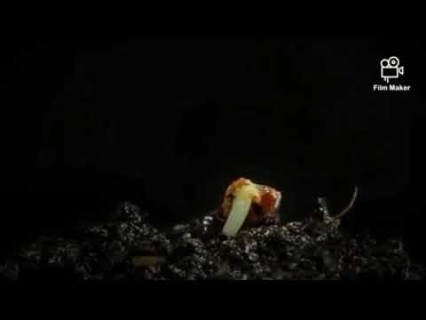 Salmo 91 una parola per te