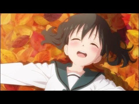 予告編