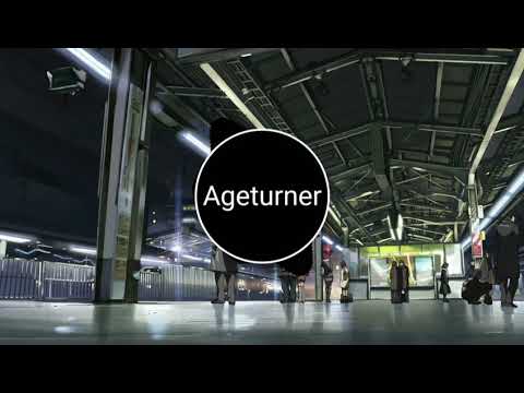 Train to Inazawa - Ageturner