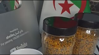 مباشر تربية النحل جني العسل الاعتناء بالطرود 2026/05/19