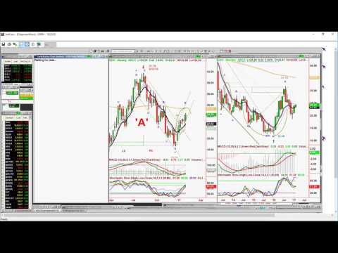 February 2nd Tiger Technicians Hour with Basil Chapman on TFNN - 2017