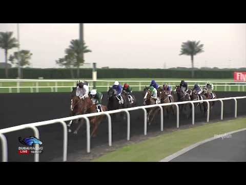 UAE Derby 2014 G2 - Toast Of New York