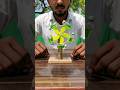 Respect I Non Stop Cycling Experiment Science Tiktok