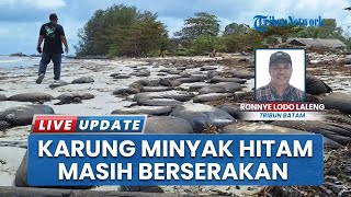 Darurat Limbah di Bintan Kepri, Warga Desa Malang Rapat Berjibaku Bersihkan Minyak Hitam di Pantai