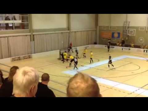 Hatsina Black - Top Team 2.11.2014