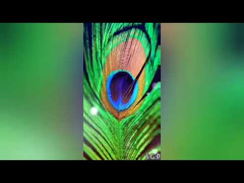 entharo mahanu bhavlu beautiful song edited  singer jayashree rajeev.