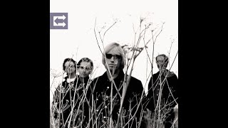 Accused of Love by Tom Petty