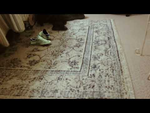 CGI Motion Tracking Test Blender