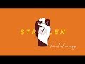 STRAALEN - Kinda Crazy (Lyric Video)