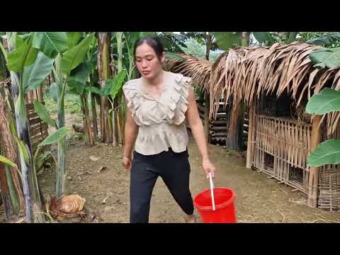Building a Bamboo House - A Girl Builds a Life Alone in the Wilderness