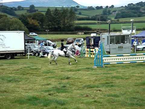 Campeon BE Novice show jumping