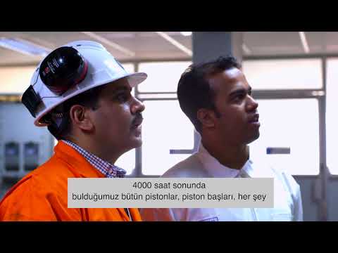 Shell Argina
