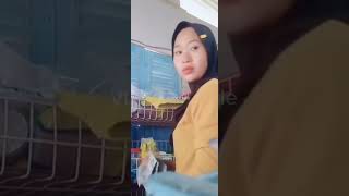 Download lagu CEWEK JAGA WARUNG | PEMERSATU BANGSA mp3 Download lagu CEWEK JAGA WARUNG | PEMERSATU BANGSA mp3