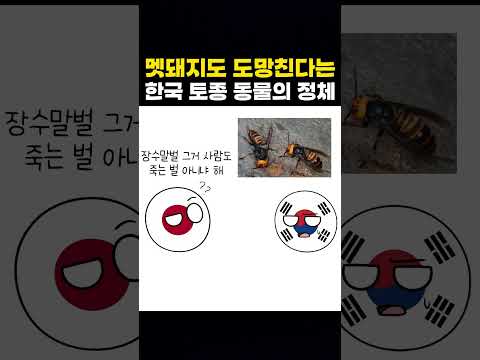멧돼지도 도망친다는 한국 토종 동물의 정체