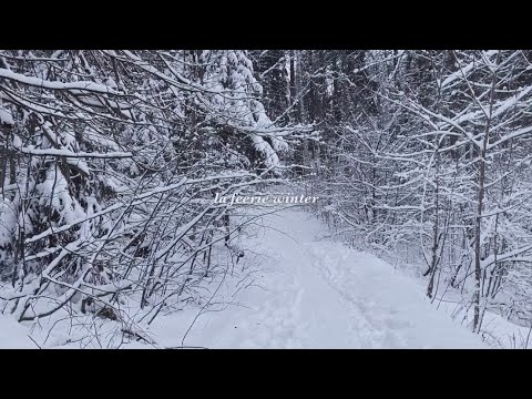 La Féerie Winter