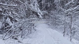 La Féerie Winter — A Short Film