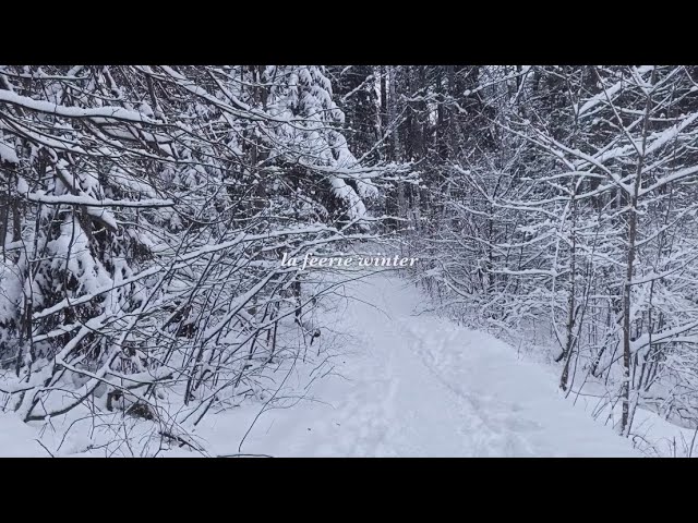 La Féerie Winter — A Short Film