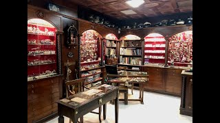 Artemis Antiques - Collectables Store - Coins Store in Athens🇬🇷- Άρτεμις antiques- Collect History
