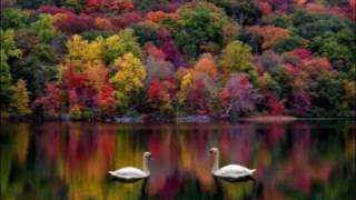 Golden Lights - Mr. Big