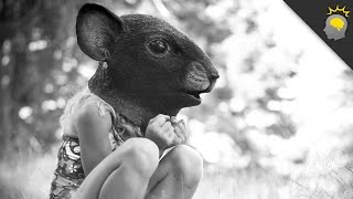 The Rise of the Beautiful Ones - Science on the Web #114