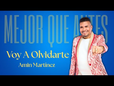 Amin Martinez & Los Chiches Vallenato - Voy a Olvidarte (Video Audio Oficial)