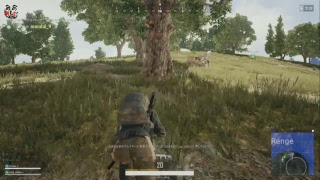 【PUBG】ディスコードできる人なら