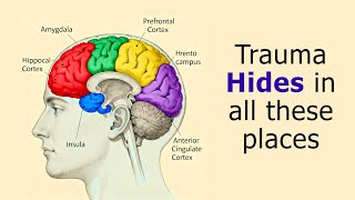 EMDR Therapy for Deep Psychological Trauma: Binaural & Bilateral QT4 Theta Waves (8Hz)