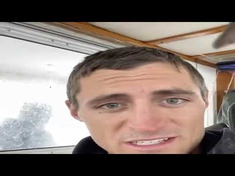 Little Bird Rescued at Sea