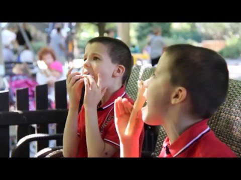 Bliźniaczy Autyzm: The Story of Autistic Twins