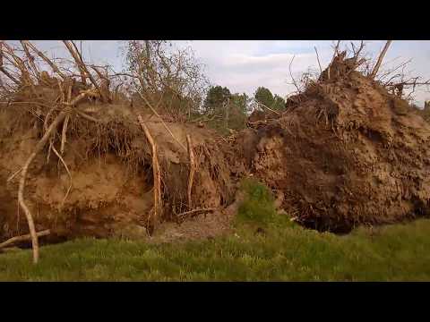 Unwetter Tornado in Königsbrück / Gräfenhain 22-06-2017