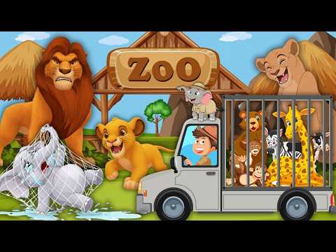 مغامرة الأسد سيمبا يستكشف حيوانات الغابة|حواديت قبل النوم|قصص أطفال بالعامية|حواديت مع لى لى