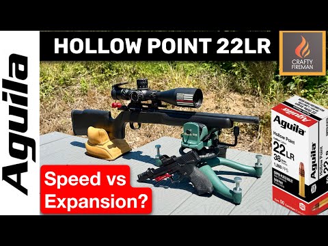 Aguila 38gr HV Hollow Point .22 LR Tested | Groups, Speed \u0026 Expansion Results 4K