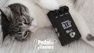 Video thumbnail for ZCAT - Big Reverb TI Stereo - Europe's Finest by PedalCasters