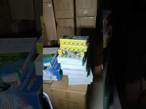 Solar Motion Sensor Light