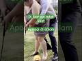 Wanita Gendut Super Power Funnyvideo Shortvideo Shorts