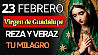 REZA ESTO CUANDO YA NO PUEDES MÁS: Consuelo y paz (Tepeyac)