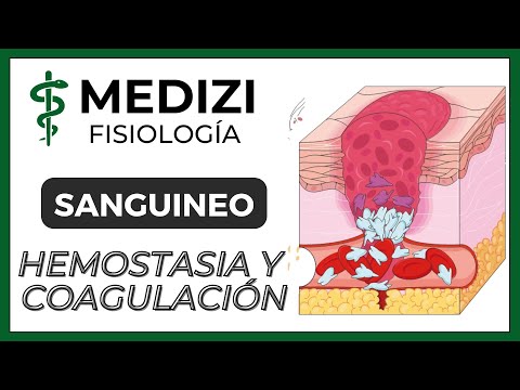 Class 36 Blood Physiology - Hemostasis and Coagulation (Platelets) (IG:@doctor.paiva)