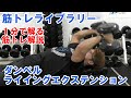 【1分で解る筋トレ解説】ダンベルライイングエクステンション【筋トレライブラリー】