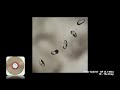 Peter Gabriel - 10 - The Drop (5.1 Mix)