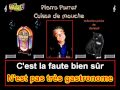 Pierre Perret   Cuisse de mouche