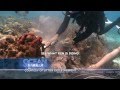 Ocean Mysteries