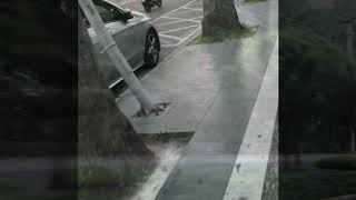 Forever young - John de Sohn music video