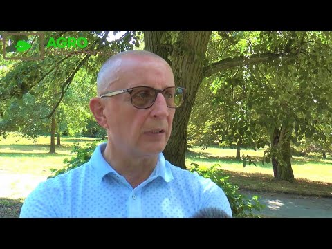 1,000 hectares and 2,000 cattle. Large-scale alfalfa harvesting