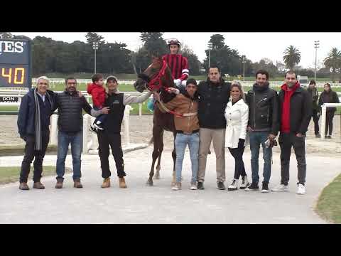 220807 c07 Haras del Uruguay Potrancas/ OLYMPIC MEDAL (BRZ)