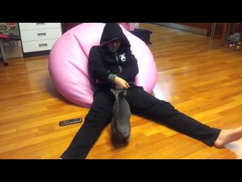 130207 Ryeowook's Twitter - Heebum's headbutt