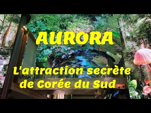 AURORA : The Secret Attraction in South Korea
