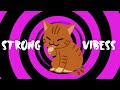Vibration Sound for your🐱 | Cat Hypnosis 🌀
