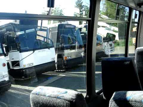 Northwest Bus Sales New Bus for Sale - 2010 Federal 14 Pass with Rear Luggage